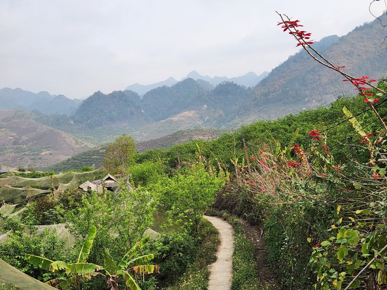 7-Day Northwest Vietnam Cycling Tour: Lai Chau to Moc Chau Adventure